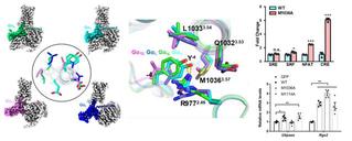 2022.10【MC】Stru...